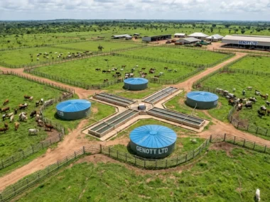 How to Build a Commercial Ranch in Nigeria